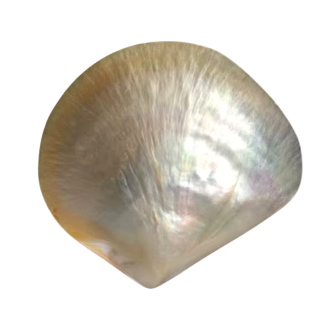 Nacre - Schmetterlingsschale & Muschellöffel